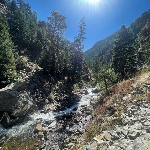 Meet your Posher, Ily - Picture 1 of 1